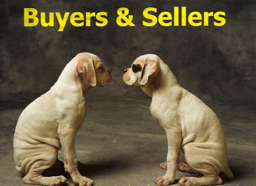 Seller Buyer Dogs copy 2.jpg